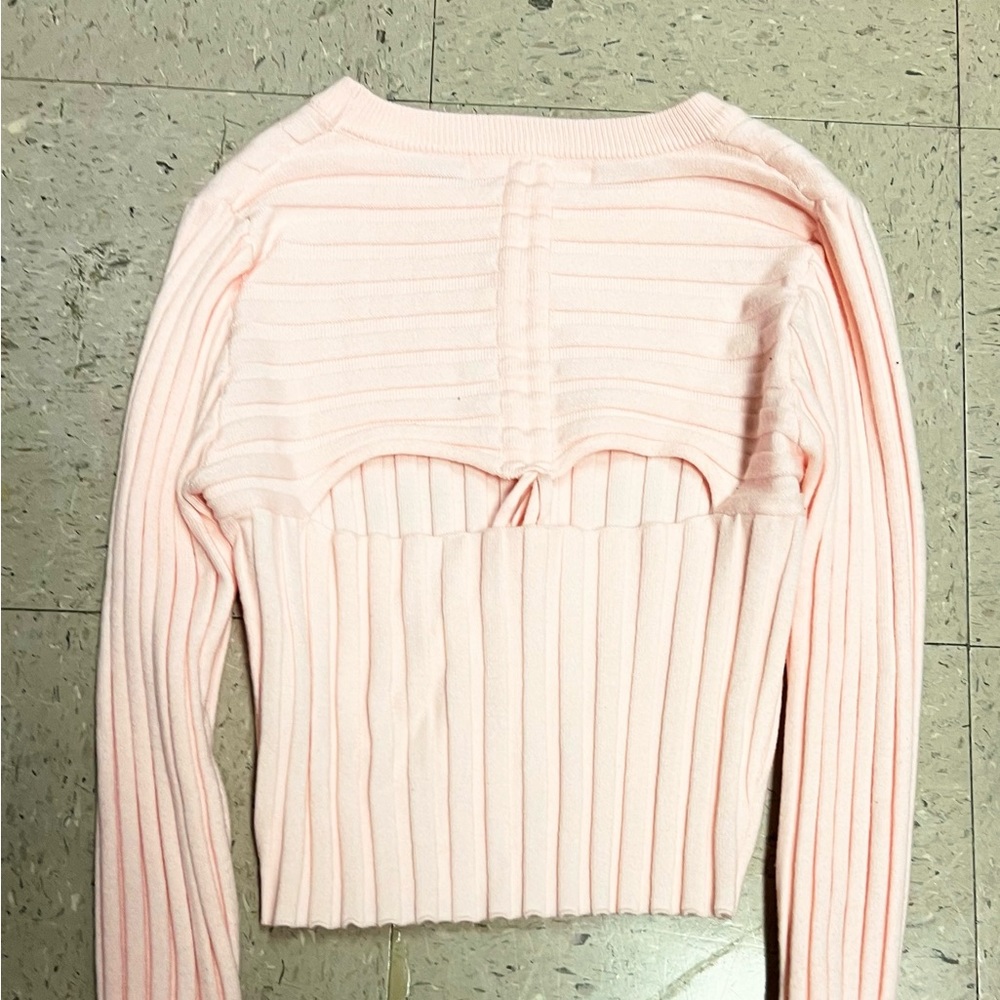 Light Pink Altar’d State long sleeve top